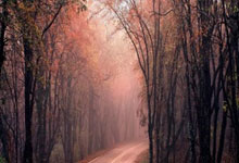 NBA常规赛：格林35+5火箭复仇森林狼 华子37+4申京24+13+8失误.