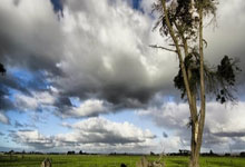 沃爾夫自由轉會奧格斯堡 完成體檢簽約至2027年.