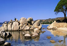 不朽情缘电子游戏网址：武漢隊引援瞄準J聯賽劄幌神鋒洛佩斯.